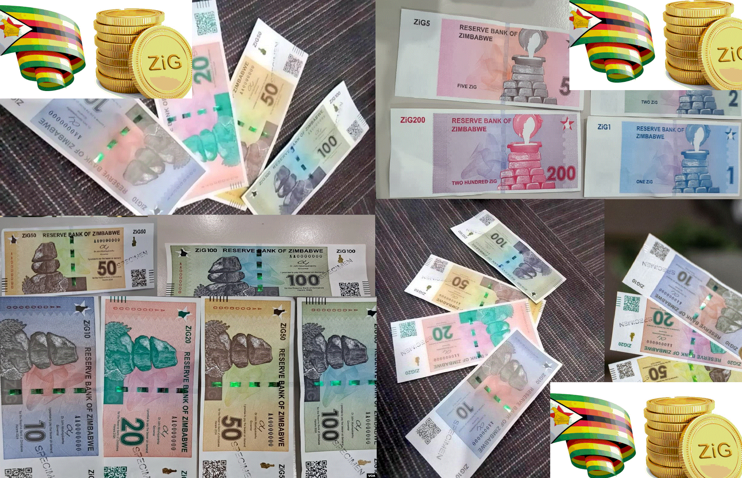 The Impact of Zimbabwe's New Currency Zig