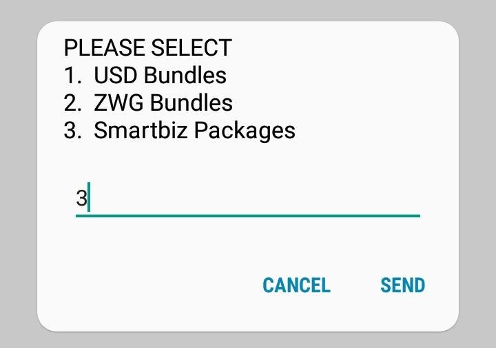 How to purchase SmartBiz data packages using Ecocash