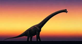 What to Expect in Jurassic World Rebirth