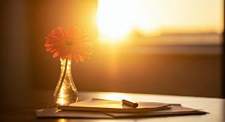 The Secret Ingredients of Success: Hard Work, Perseverance, and Passion